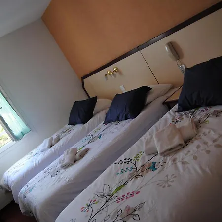 Myosotis Hotel Lourdes