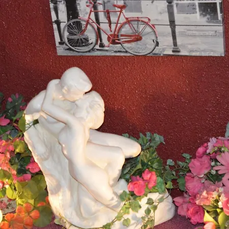 Myosotis Hotel