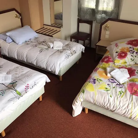 Hotel Myosotis 3*