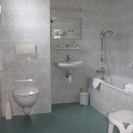 Hotel Myosotis 3*