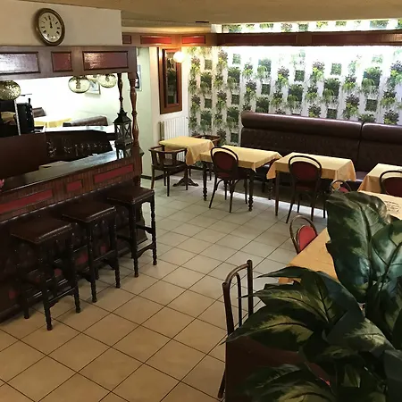 Hotel Myosotis 3*