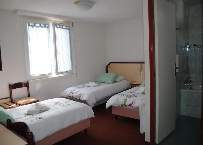 Hotel Myosotis Lourdes