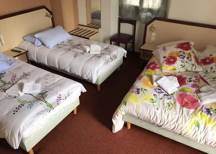 Отель Myosotis 3*