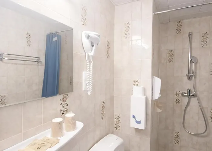 Hotel Myosotis Lourdes