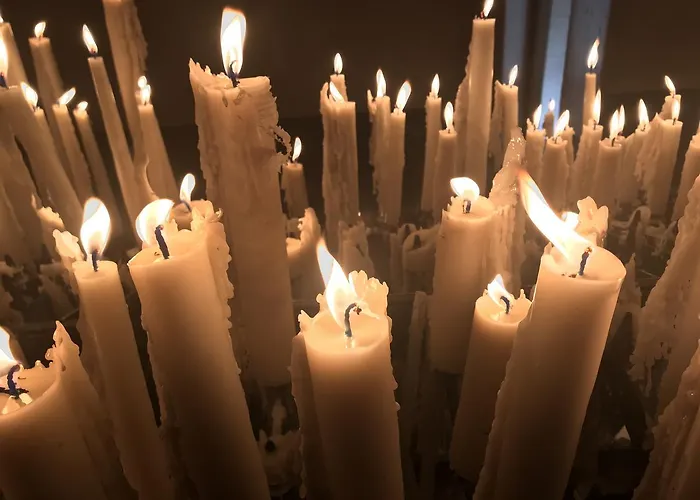 Отель Myosotis 3*