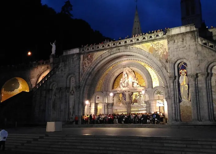 Отель Myosotis Лурд