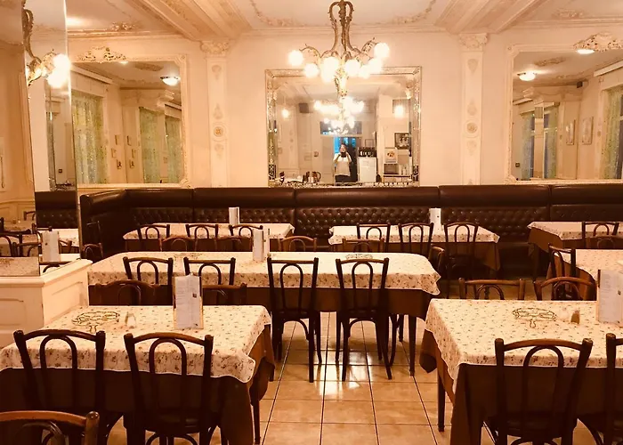 Отель Myosotis 3*