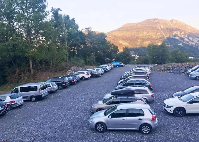 Myosotis 3* Λούρδη