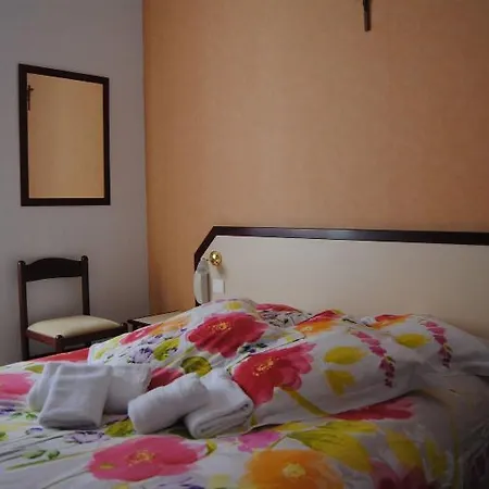 Hotel Myosotis Lourdes