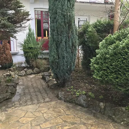 Hotel Myosotis Lourdes