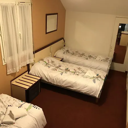 Myosotis Hotel Lourdes