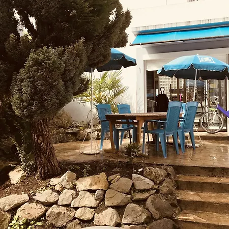 Hotel Myosotis 3*